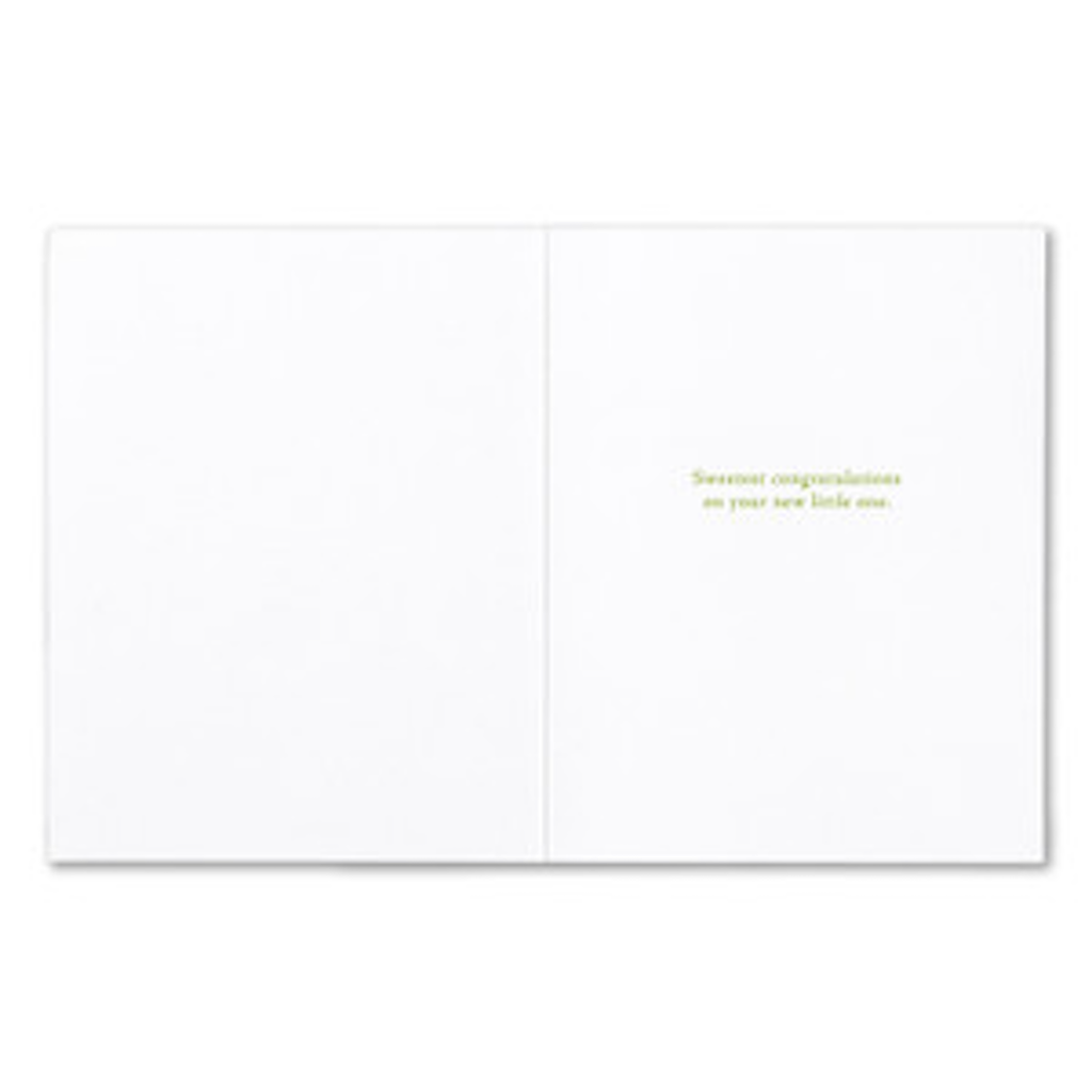 Great Things Have Small Beginings Baby Shower Card Compendium Cards - Baby