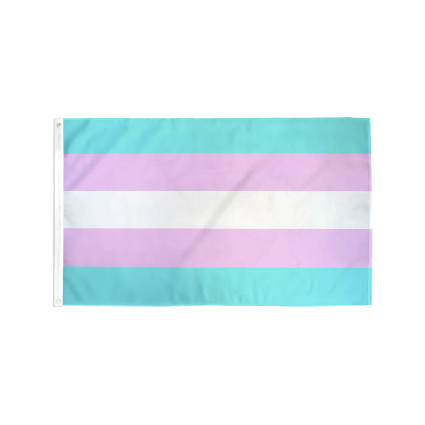 Trans Pride Flag - Medium Flags For Good Home - Wall & Mantle - Flags