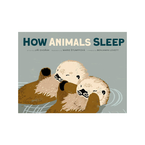 How Animals Sleep Book Ingram Publisher Services Books - Baby & Kids