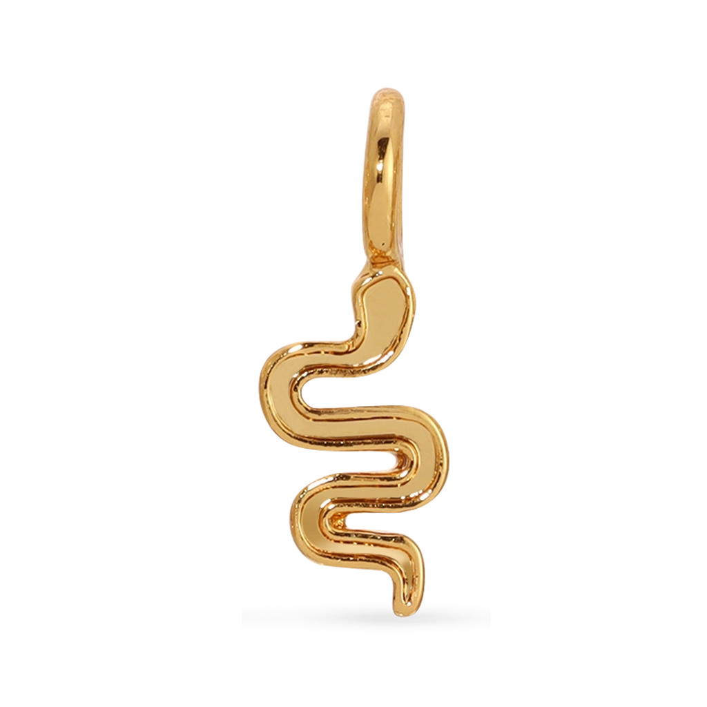 Snake (Gold) Charm Garden Charm Lucky Feather Jewelry