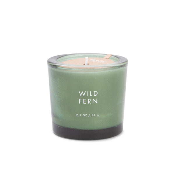 Wild Fern Botany Candles -2.5oz Paddywax Home - Candles