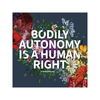 Bodily Autonomy Is A Human Right Sticker Transpainter Impulse - Decorative Stickers