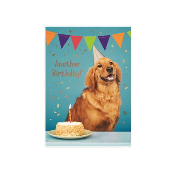 Cake It Easy Dog Birthday Card Design Design Cards - Birthday