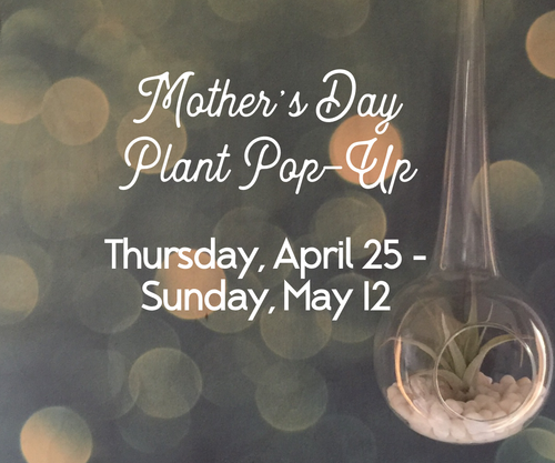 Mother's Day Plant Pop-Up at ENJOY