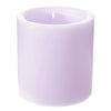 Spiral Light Candles Afton Candle Inc Home - Candles