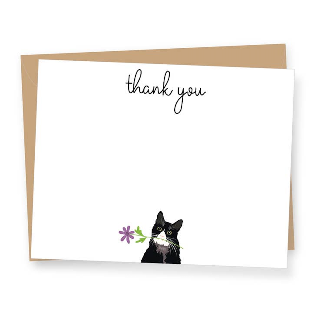 Black Cat Thank You Boxed Cards Apartment 2 Cards Cards - Boxed Cards - Thank You