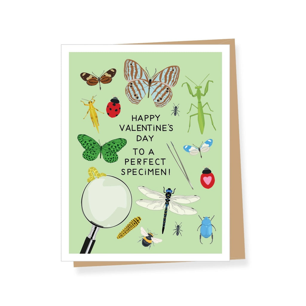 Insects Perfect Specimen Valentine's Day Card Apartment 2 Cards Cards - Holiday - Valentine's Day
