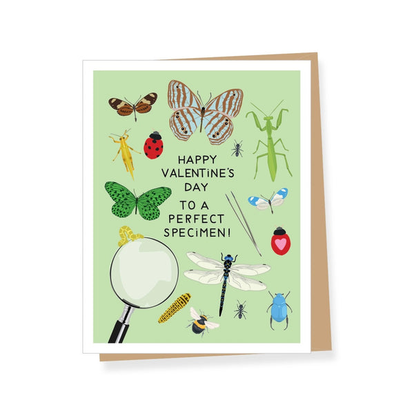 Insects Perfect Specimen Valentine's Day Card Apartment 2 Cards Cards - Holiday - Valentine's Day