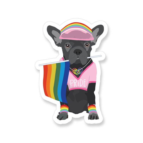 Franchie Gay Pride Sticker Apartment 2 Cards Impulse - Decorative Stickers