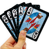 Wonderful Weiners Playing Cards Aquarius Toys & Games - Puzzles & Games - Playing Cards
