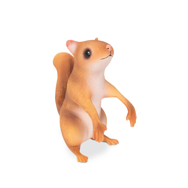 ACC OFFICE SQUIRREL Archie McPhee Toys & Games