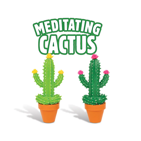 Meditating Cactus Archie McPhee Toys & Games - Action & Toy Figures