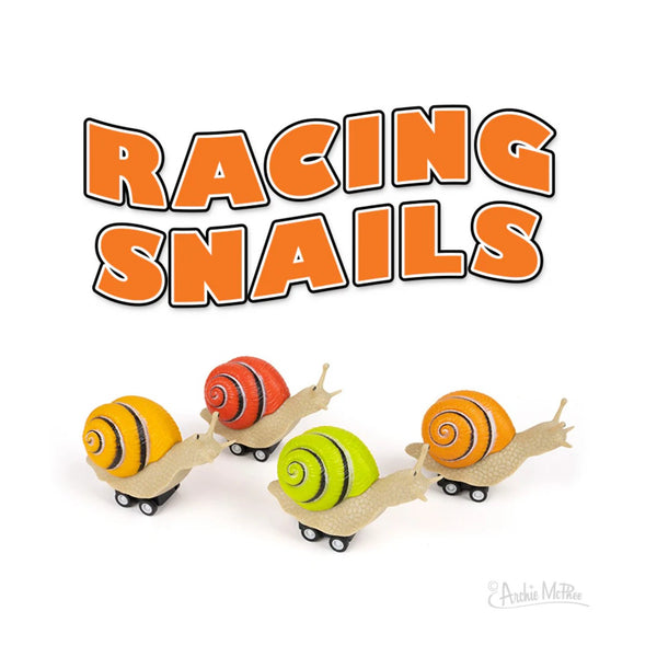 Snail toys 阿志 Magic trick Racing Snails – Urban General Store