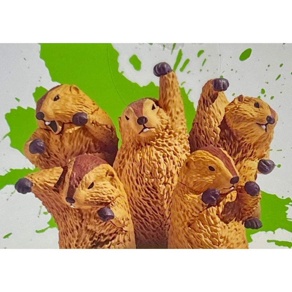 Flighting Marmot Blind Box Toy BCmini Toys & Games
