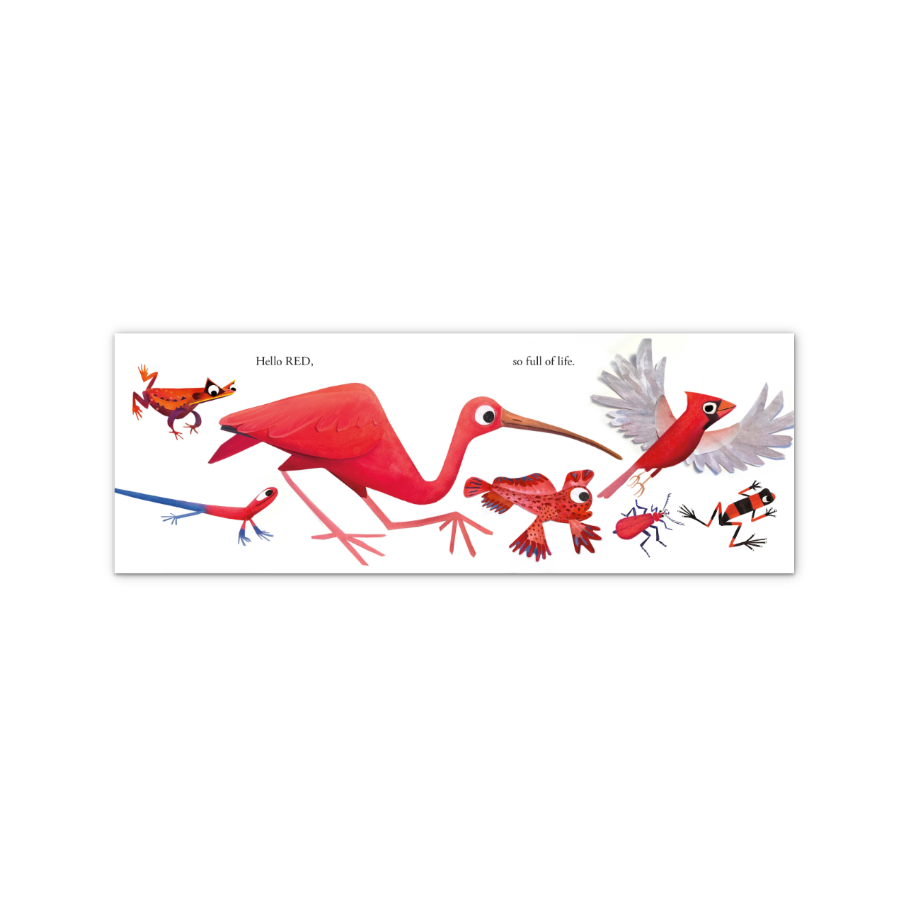 Hello Hello Colors Board Book – Urban General Store