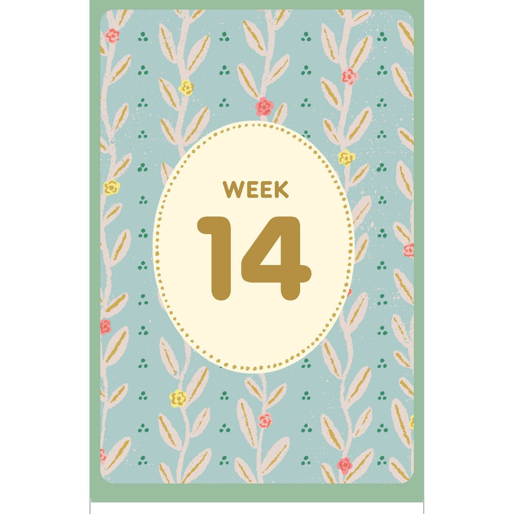 Expecting 411's Pregnancy Deck Chronicle Books Books - Card Decks