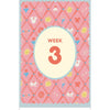 Expecting 411's Pregnancy Deck Chronicle Books Books - Card Decks