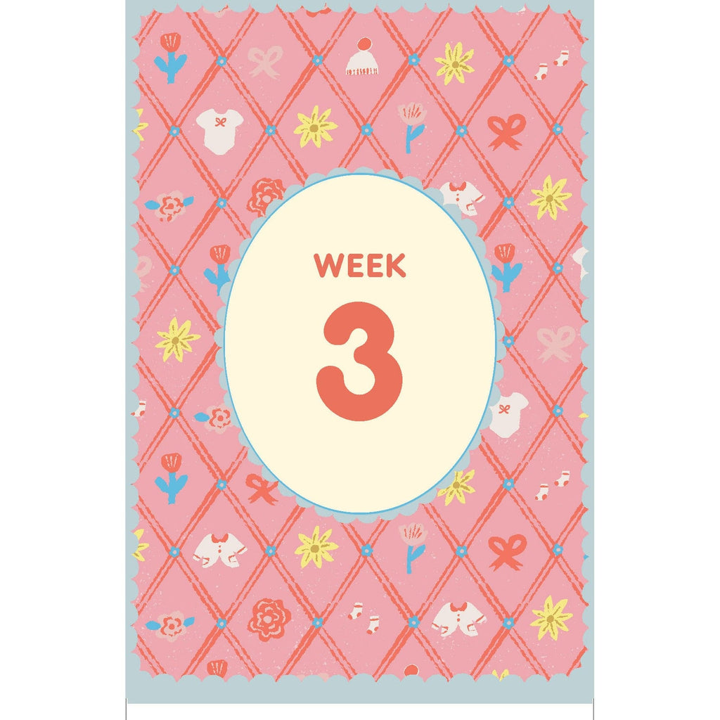 Expecting 411's Pregnancy Deck Chronicle Books Books - Card Decks
