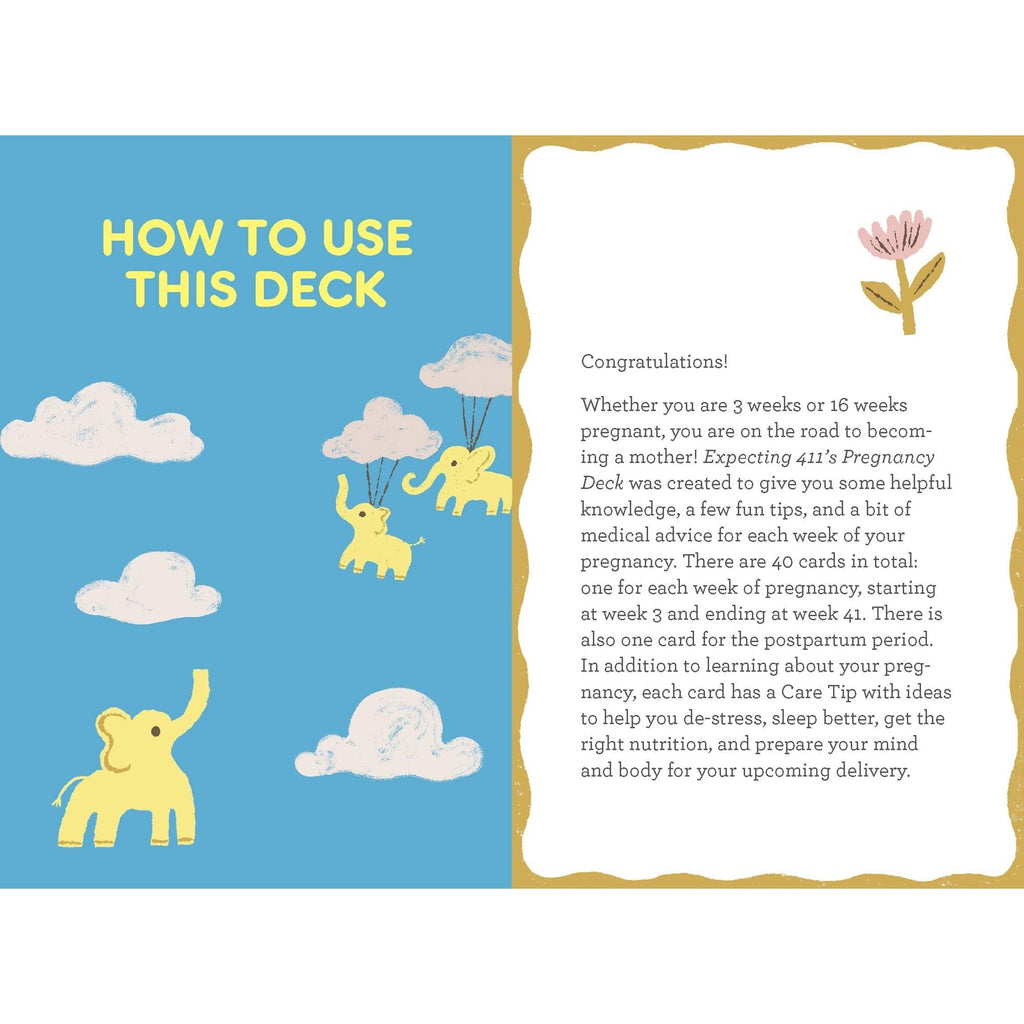 Expecting 411's Pregnancy Deck Chronicle Books Books - Card Decks