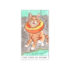 Kitten Oracle Deck Chronicle Books Books - Card Decks