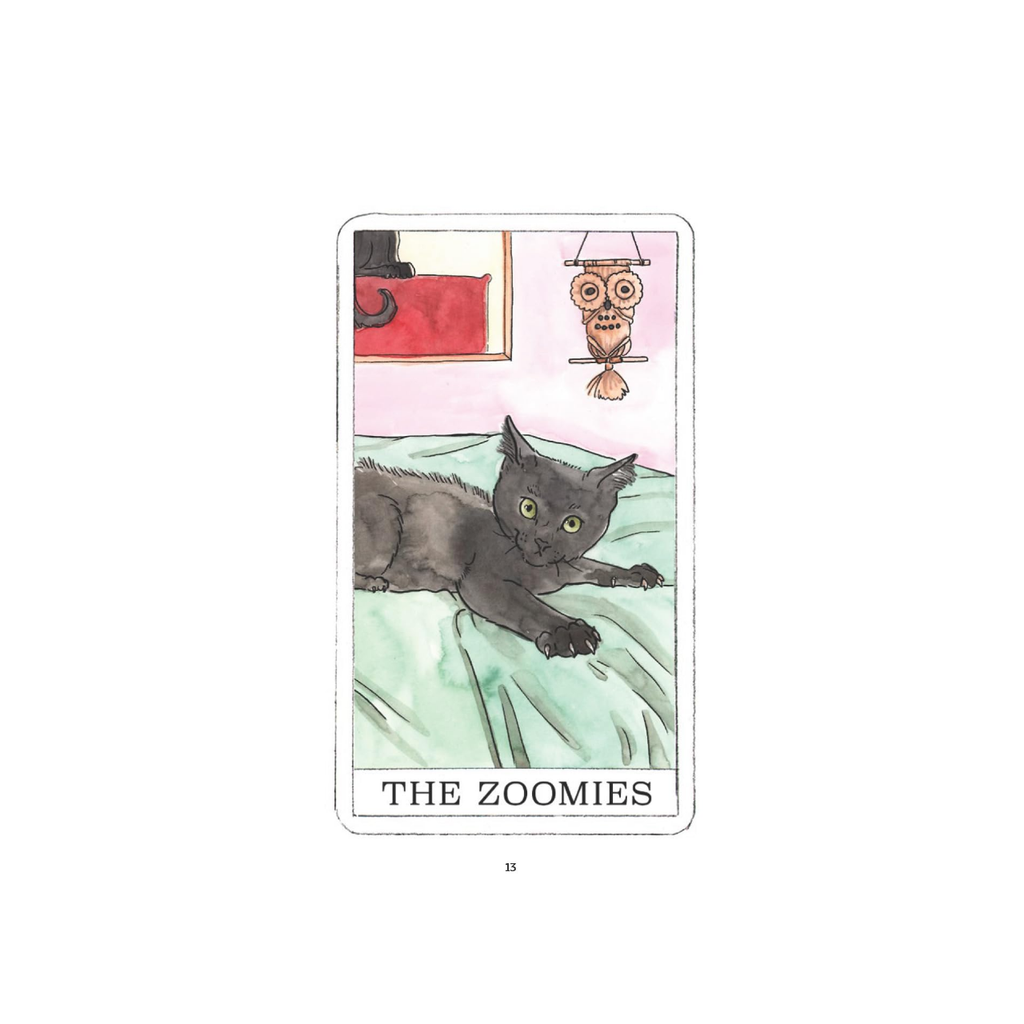 Kitten Oracle Deck Chronicle Books Books - Card Decks