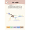 The Everyday Pilates Deck: 50 Exercises for Fitness and Mind-Body Connection Chronicle Books Books - Card Decks