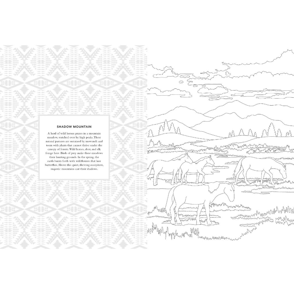 Pendleton Coloring Book Chronicle Books Books - Coloring