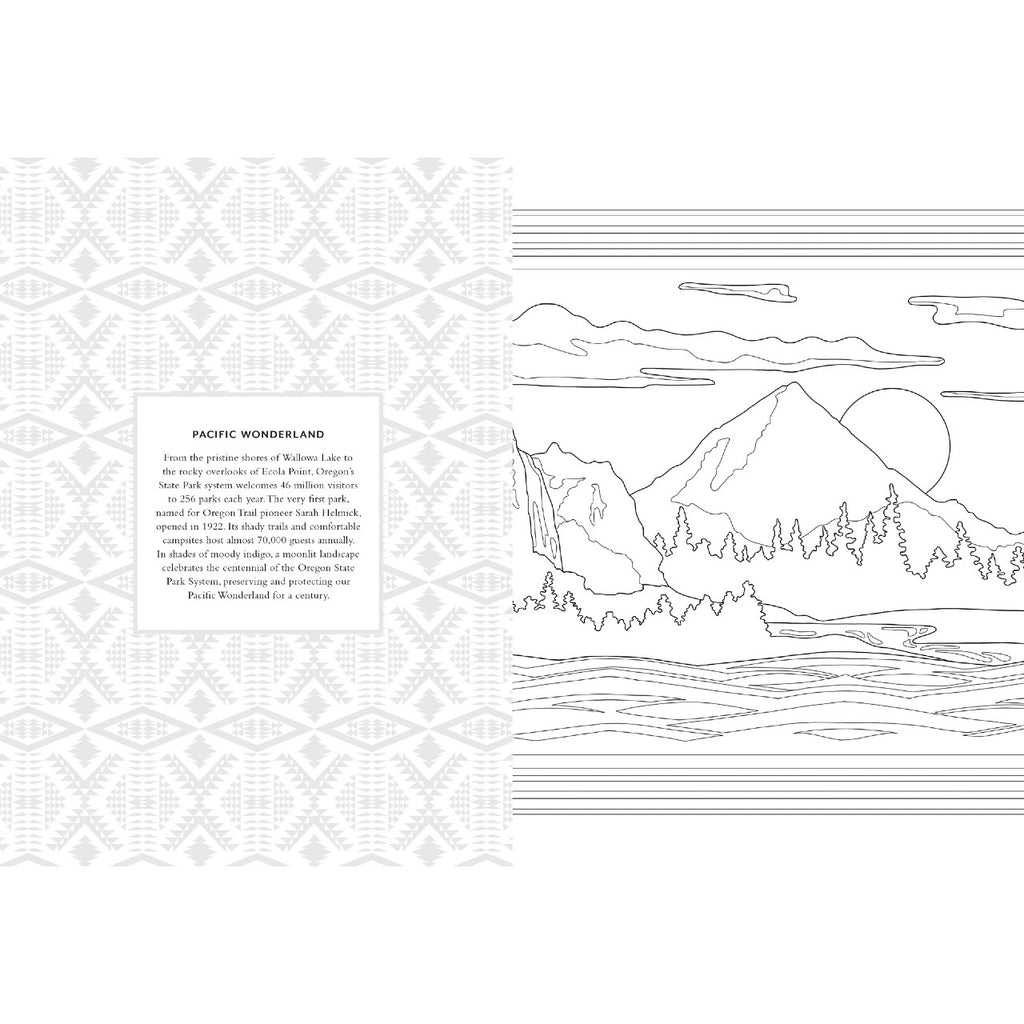 Pendleton Coloring Book Chronicle Books Books - Coloring