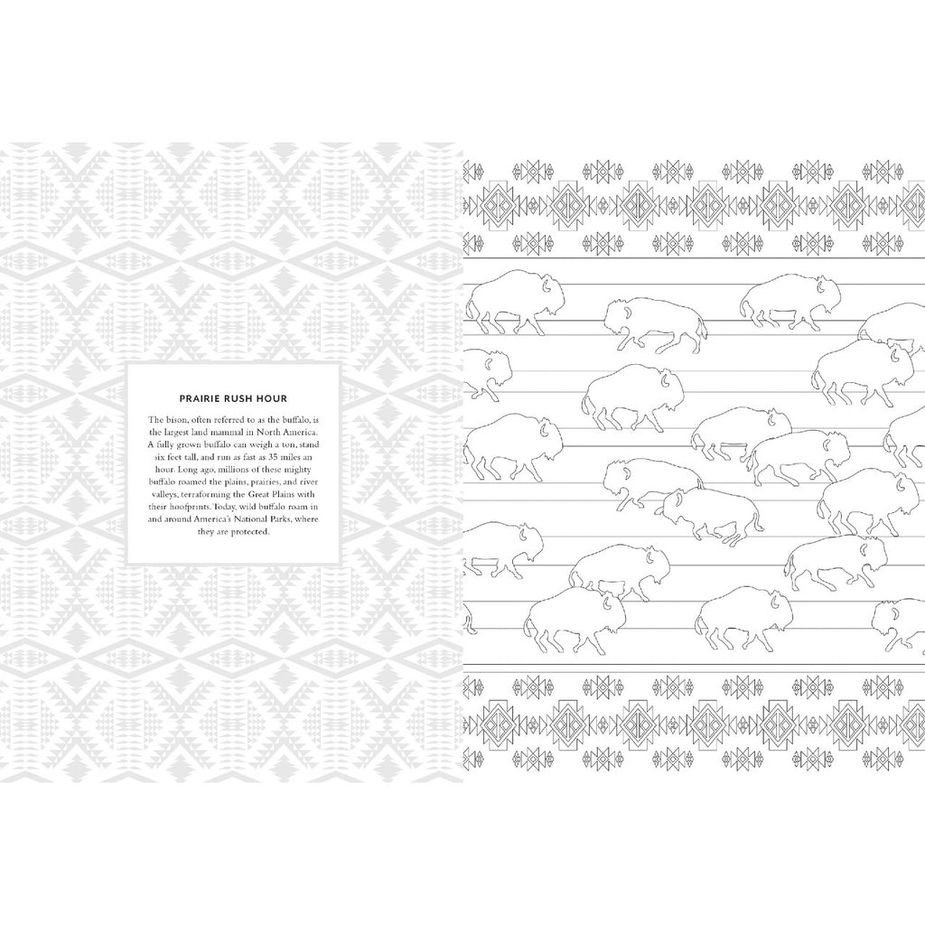 Pendleton Coloring Book Chronicle Books Books - Coloring