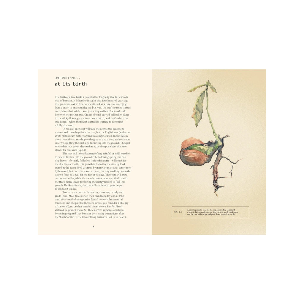 Forty Ways To Know A Tree Book Chronicle Books Books