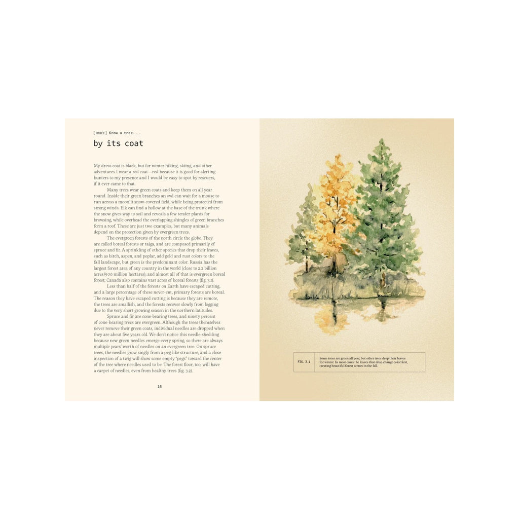 Forty Ways To Know A Tree Book Chronicle Books Books