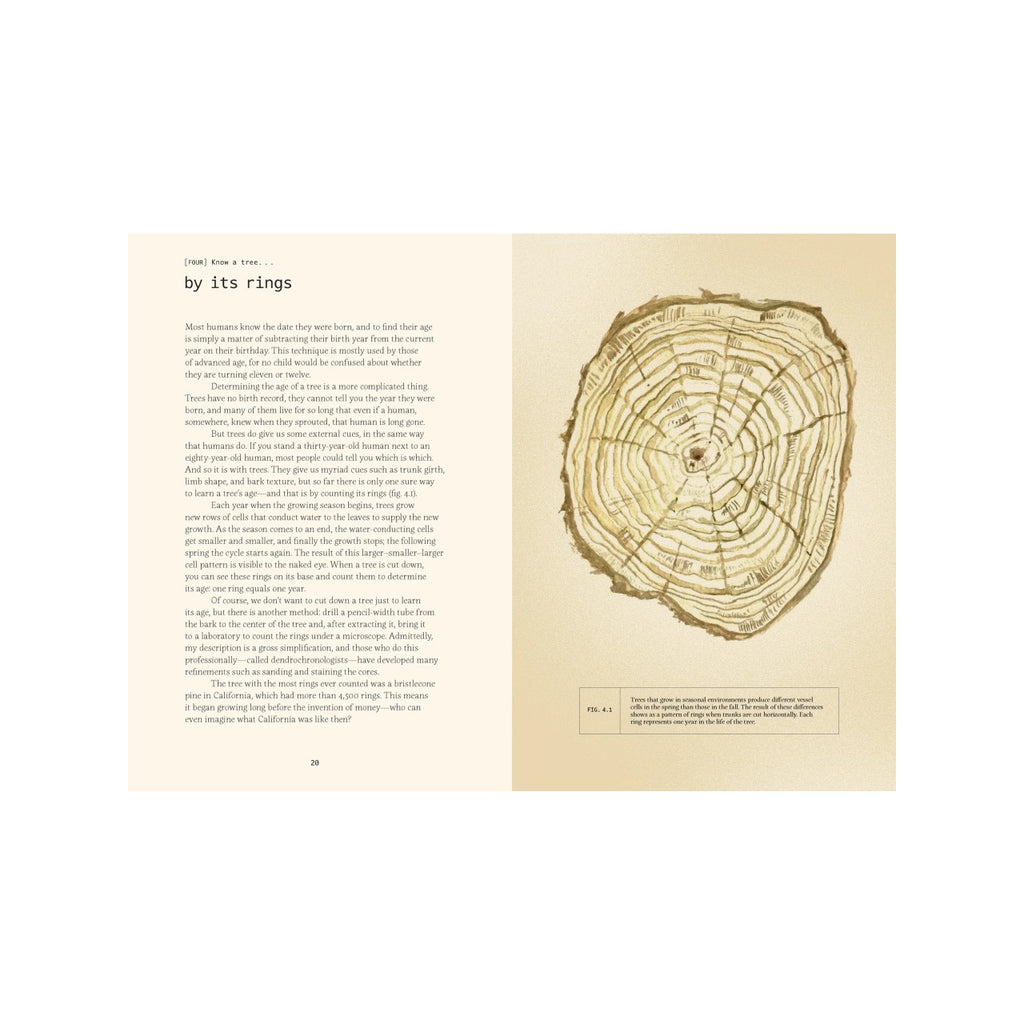 Forty Ways To Know A Tree Book Chronicle Books Books