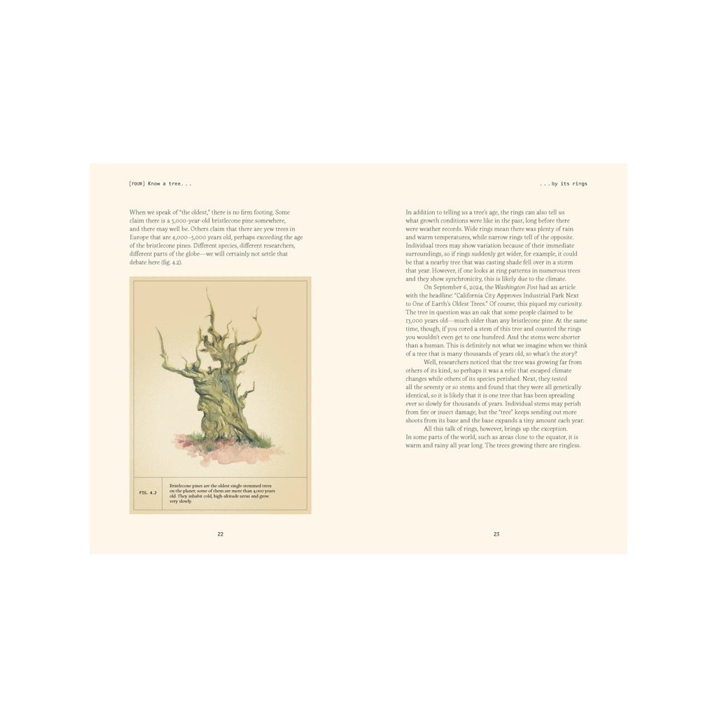 Forty Ways To Know A Tree Book Chronicle Books Books