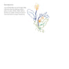 Quiet Moments: A Guided Sketchbook Chronicle Books Books - Guided Journals & Gift Books