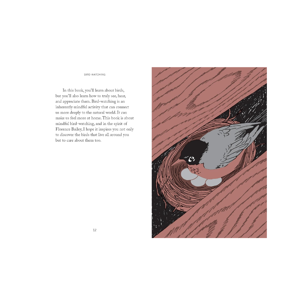 Pocket Nature - Bird-Watching Book Chronicle Books Books