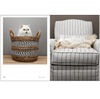 Rescue Cats Book Chronicle Books Books