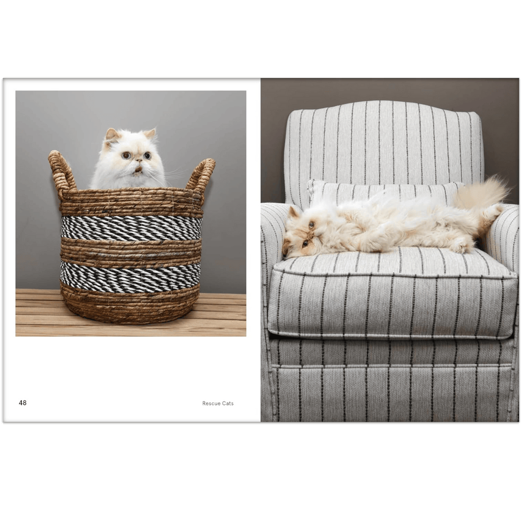 Rescue Cats Book Chronicle Books Books
