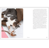 Rescue Cats Book Chronicle Books Books