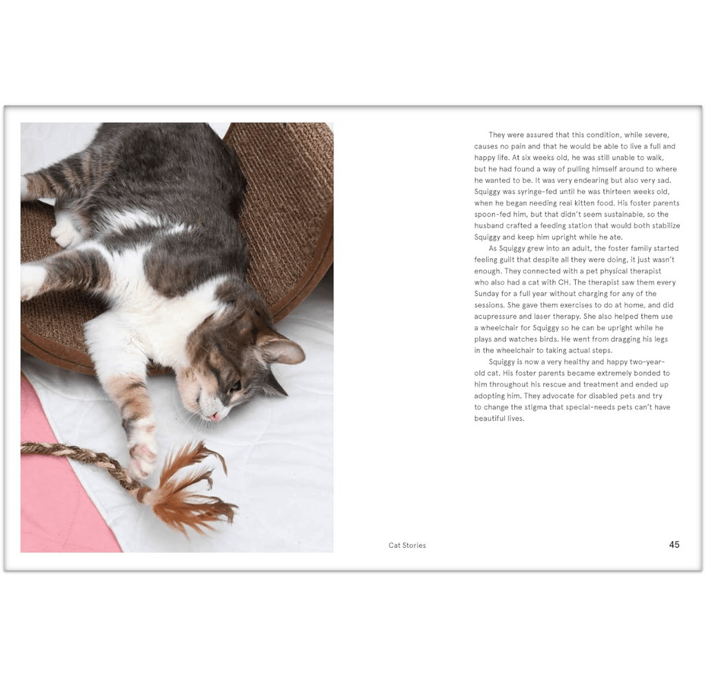 Rescue Cats Book Chronicle Books Books