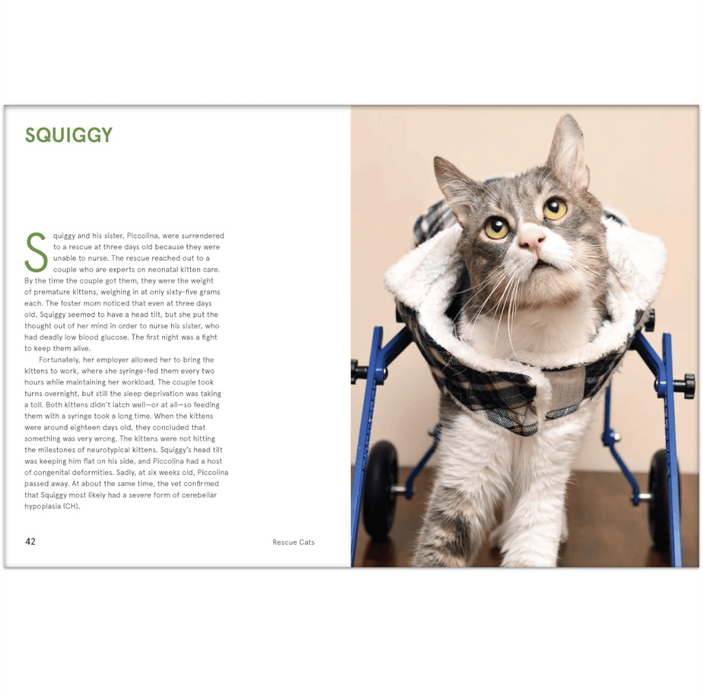 Rescue Cats Book Chronicle Books Books