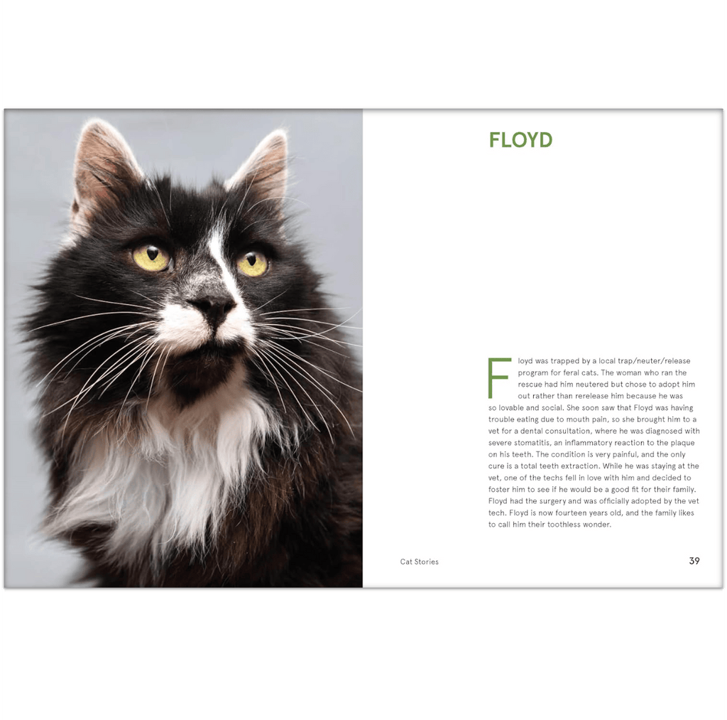 Rescue Cats Book Chronicle Books Books