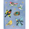Wildflower Picnic Sticker Book Chronicle Books Books