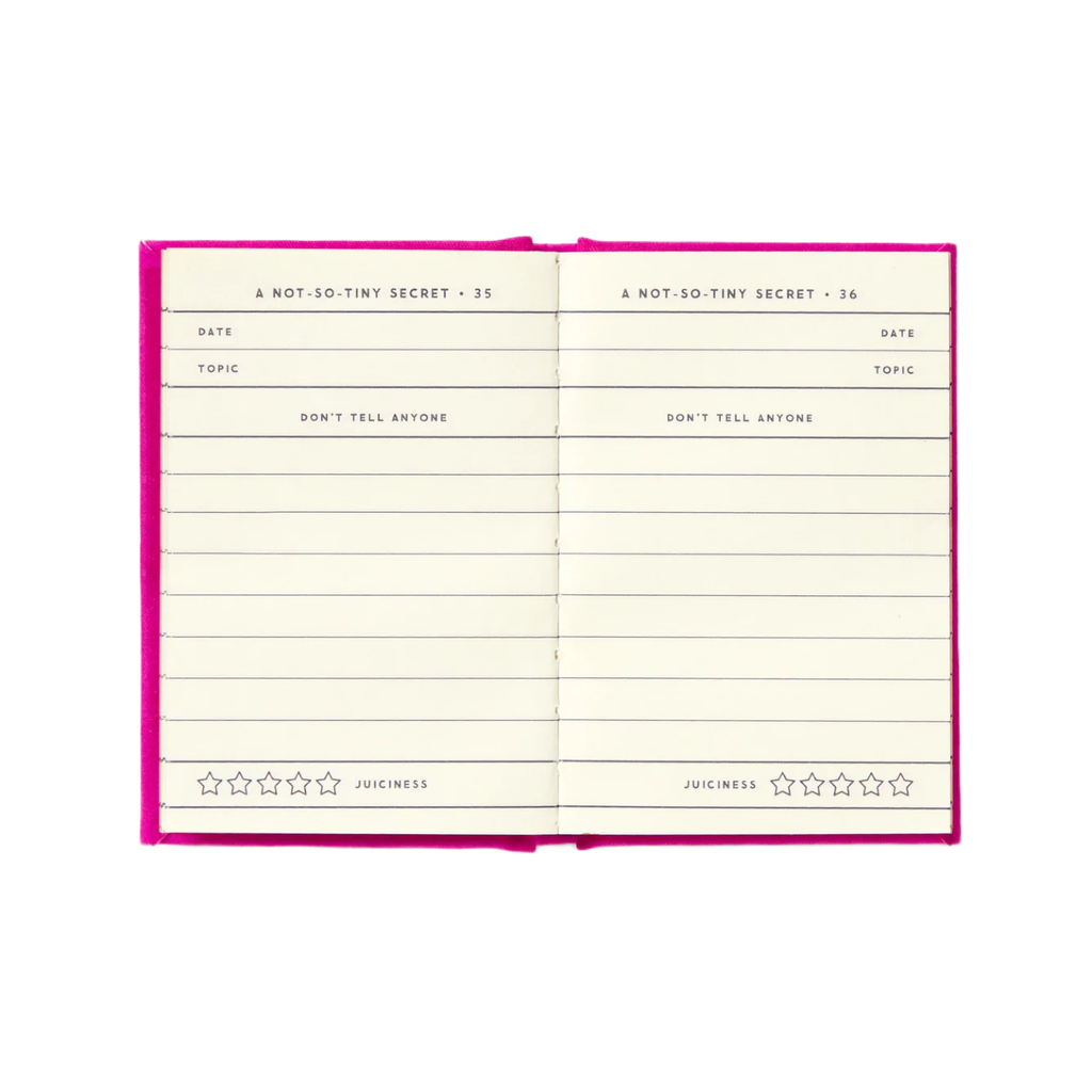 A Tiny Diary For Not So Tiny Secrets Guided Journal Chronicle Books - Brass Monkey Books - Blank Notebooks & Journals - Guided Journals & Gift Books