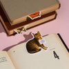 Moody Cats Magnetic Bookmark Set Chronicle Books - Brass Monkey Books - Bookmarks