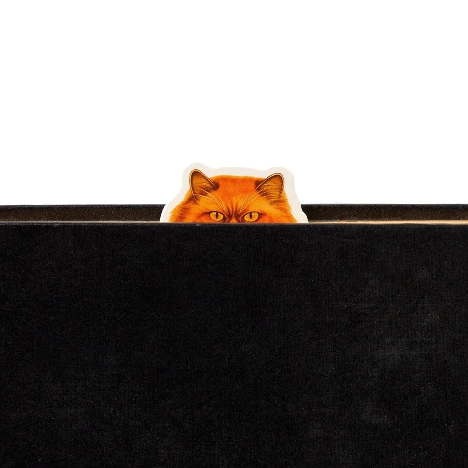 Moody Cats Magnetic Bookmark Set Chronicle Books - Brass Monkey Books - Bookmarks