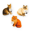 Moody Cats Magnetic Bookmark Set Chronicle Books - Brass Monkey Books - Bookmarks