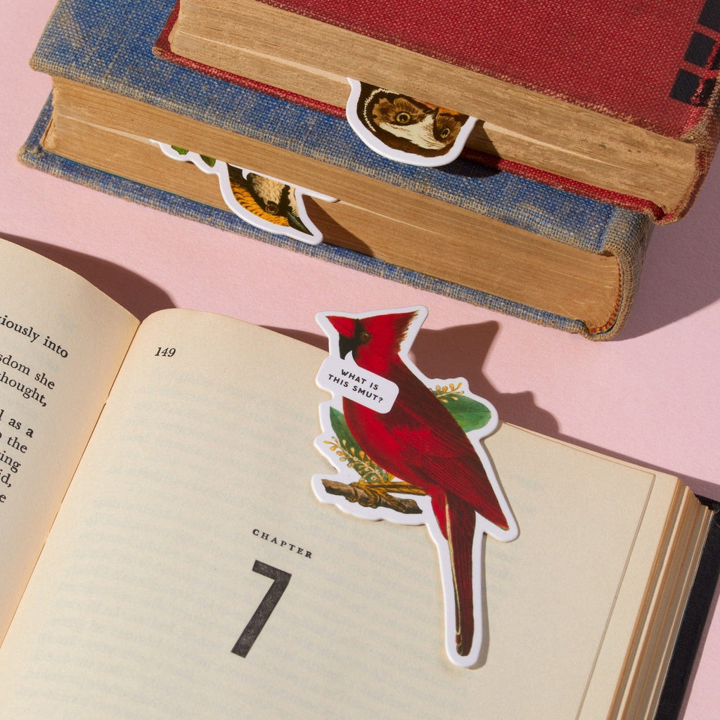 Salty Birds Magnetic Bookmark Set Chronicle Books - Brass Monkey Books - Bookmarks