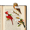 Salty Birds Magnetic Bookmark Set Chronicle Books - Brass Monkey Books - Bookmarks
