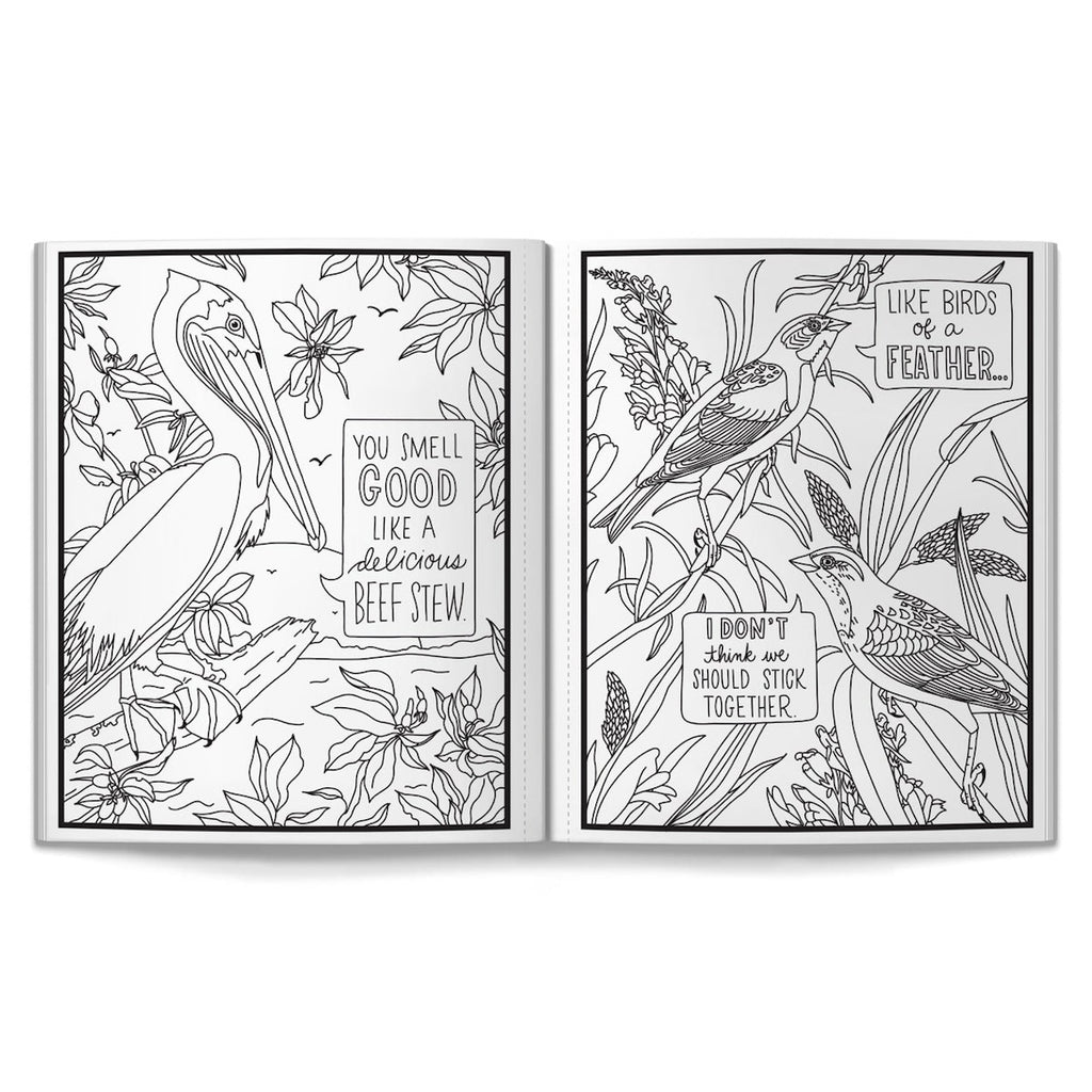 Coloring Book Salty Birds Chronicle Books - Brass Monkey Books - Coloring