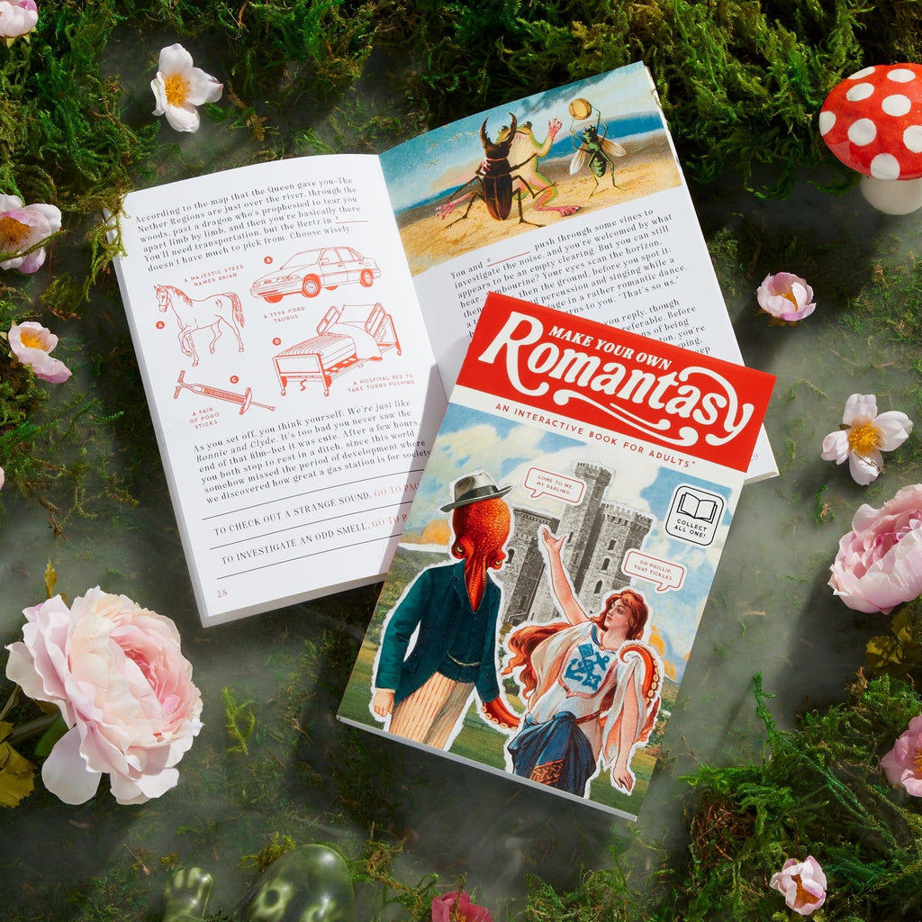 Make Your Own Romantasy Activity Book Chronicle Books - Brass Monkey Books